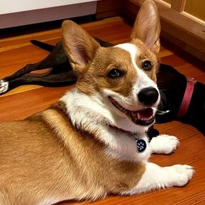 Meet your Posher, Ronley